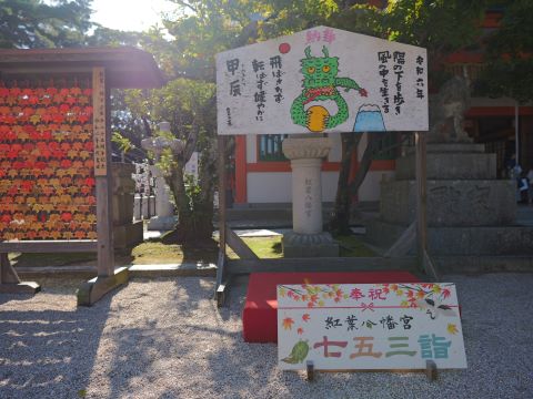 紅葉八幡宮七五三３