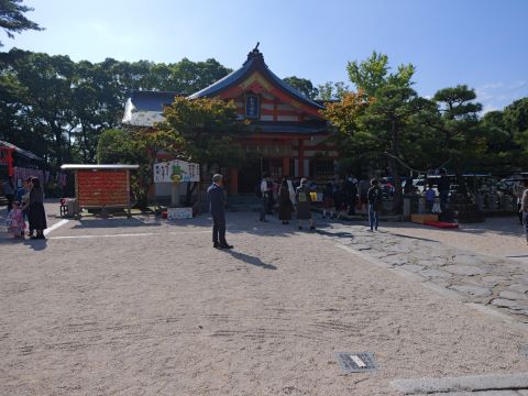 紅葉八幡宮七五三２