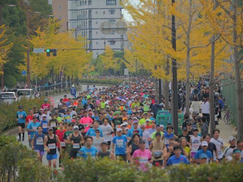 福岡マラソン2024⑥