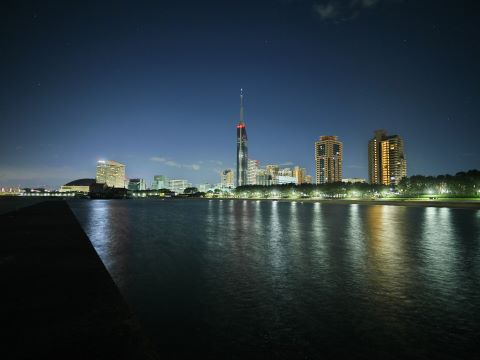 しし座流星群１