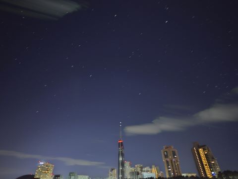 しし座流星群２