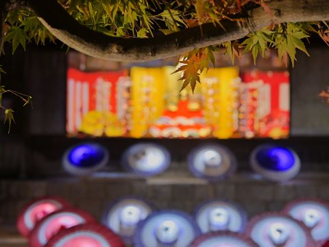 紅葉八幡宮ディスプレイ５
