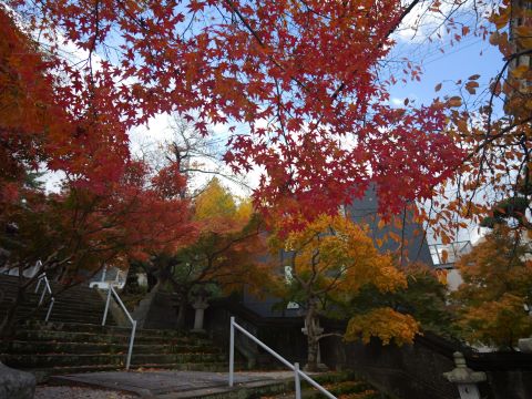 紅葉八幡宮紅葉階段①