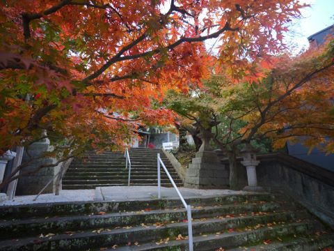 紅葉八幡宮階段②