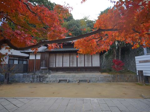 紅葉八幡宮階段部隊