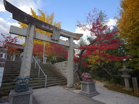 紅葉八幡宮階段上の鳥居