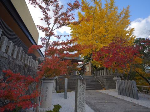 紅葉八幡宮イチョウと紅葉