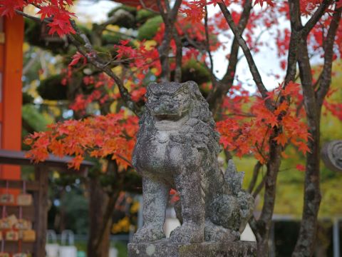 紅葉八幡宮狛犬