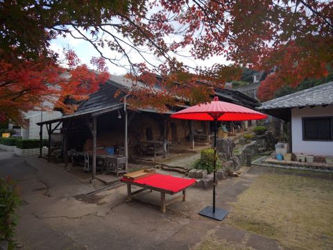 敷地内の紅葉