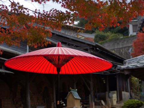 敷地内の紅葉２