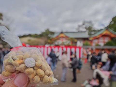 豆