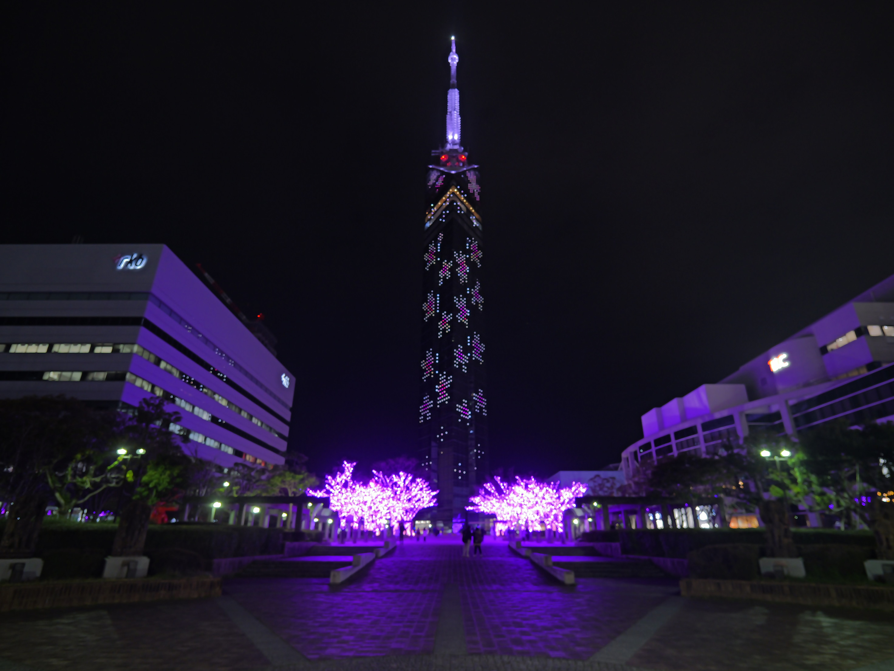 福岡タワー桜イルミネーション１