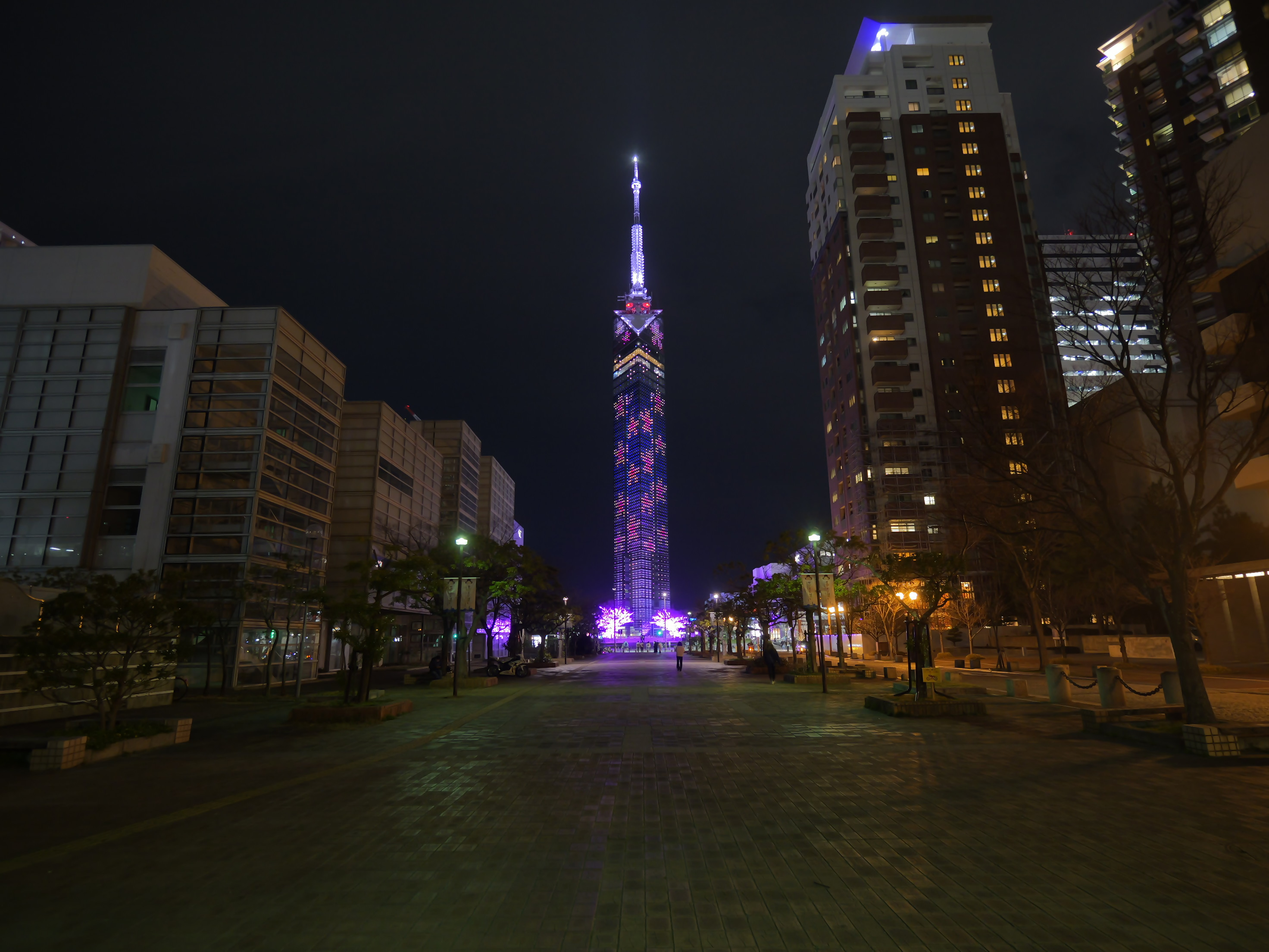 福岡タワー桜イルミネーション２