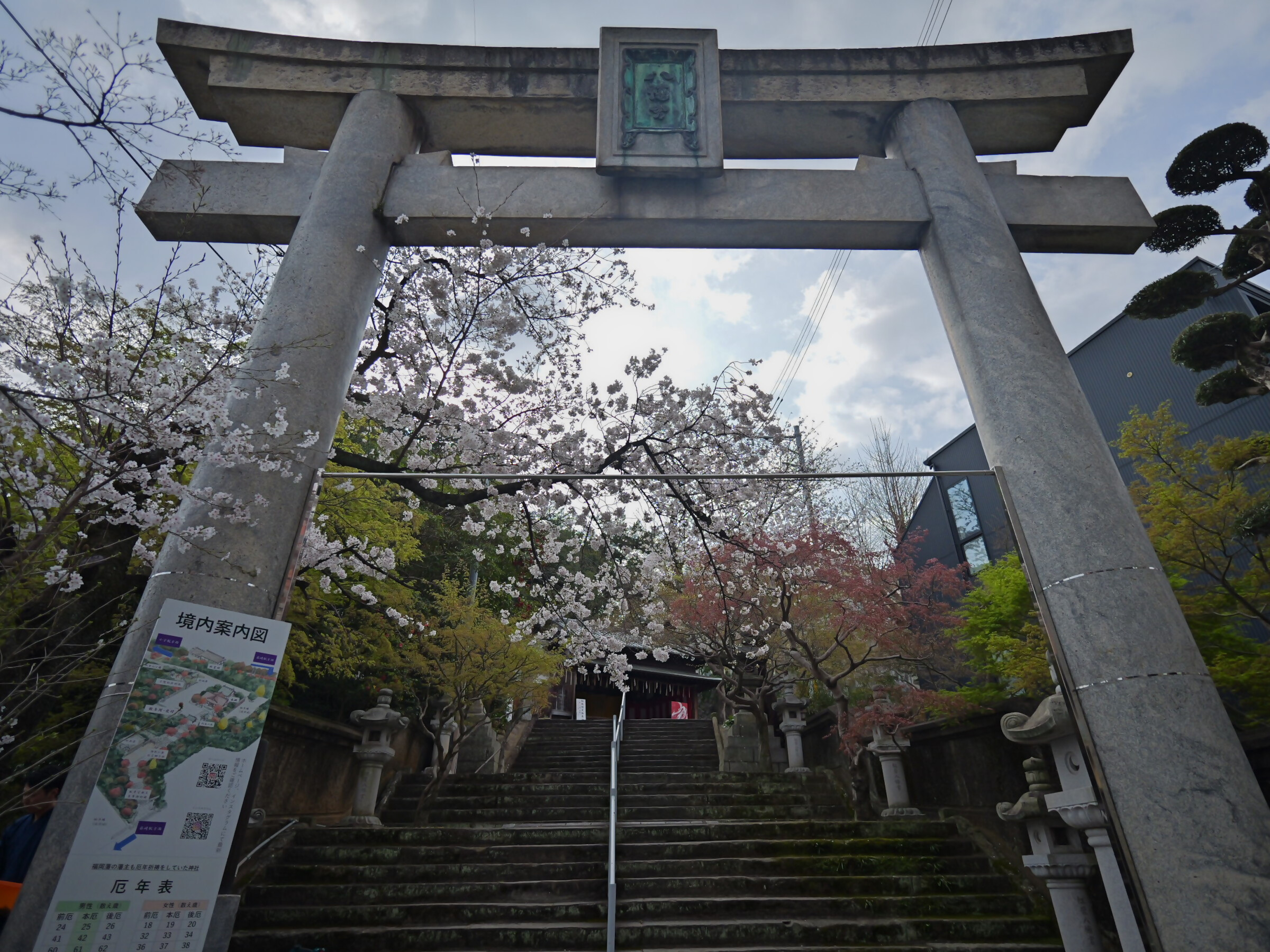 桜と鳥居