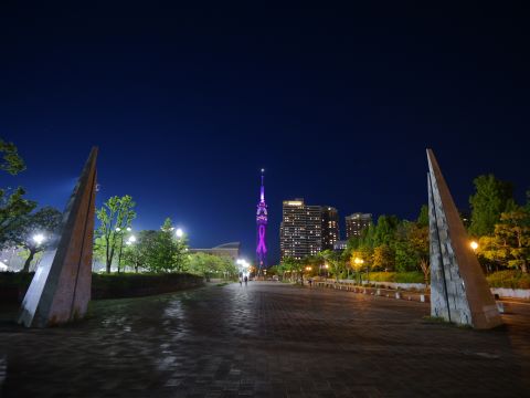 福岡タワーピンクリボン3