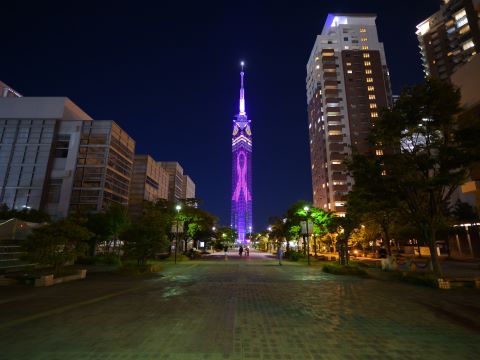 福岡タワーピンクリボン２