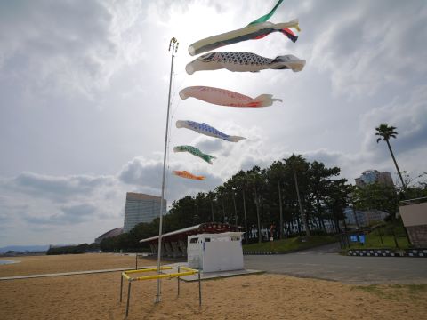 こいのぼりと百道浜