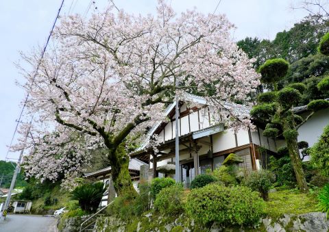 光明寺