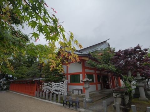 紅葉新緑＿建物