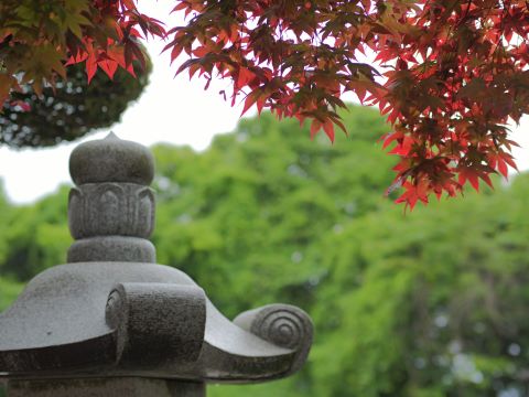 紅葉新緑＿灯籠