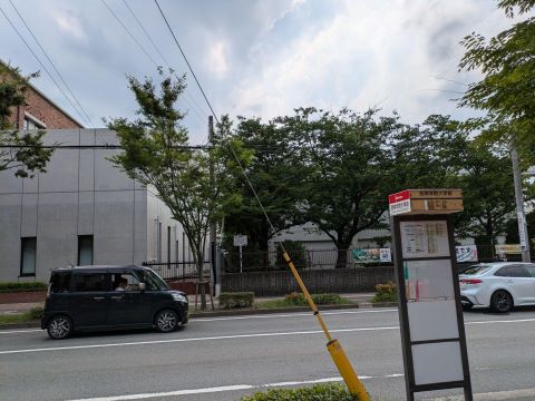 百道一帯２３