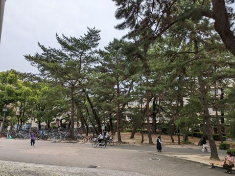 百道一帯２４