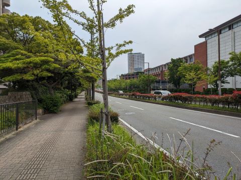 百道一帯４