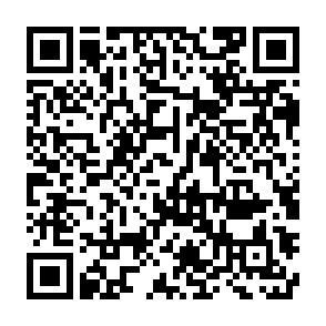 第54回福岡市人権を尊重する市民の集い 録画配信視聴申込フォーム