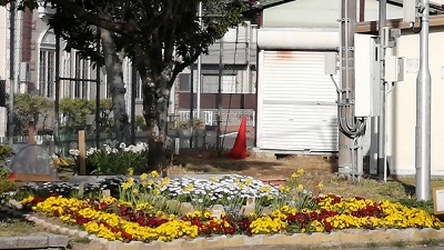 公園の花壇の写真