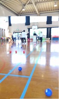 「遊びの達人」が、育成者に指導する画像