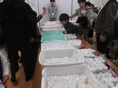 たくさんの紙コップが並べられた受付の写真