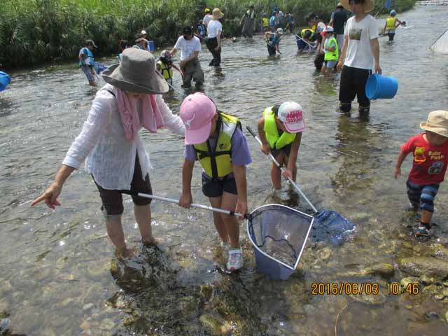 網を持って生きものを探しています
