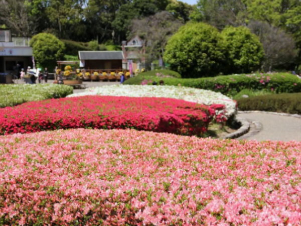 福岡市植物園の風景写真
