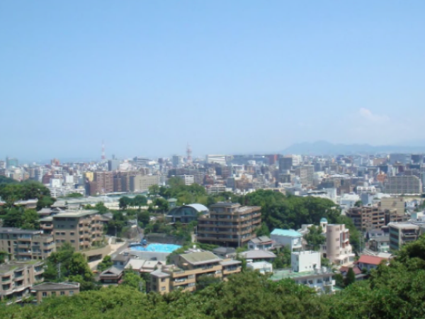 福岡市植物園からの展望の写真