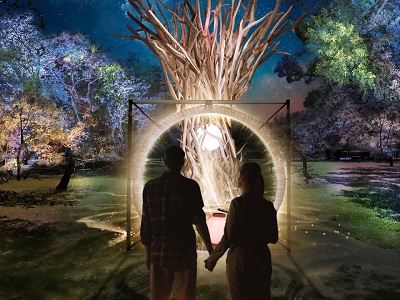 桜園の中心にある茅の輪をくぐり、御神木へ入口で配布される提灯をかざすと、桜園全体のライトアップと連動する参加体験型の演出。