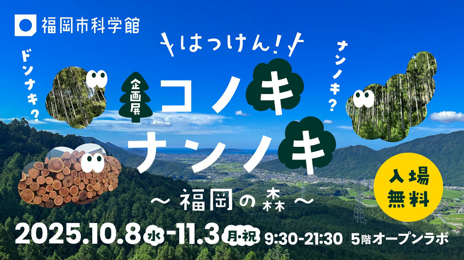 福岡で使われている木をキャラクターに見立てた、イベントの告知画像