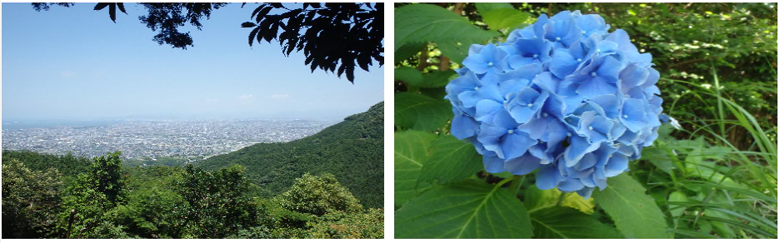 路線バスで行く日帰り旅の画像