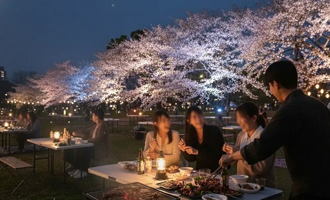 夜はライトアップされる満開の桜を楽しめる特等席！BBQも楽しめる「お花見広場」。