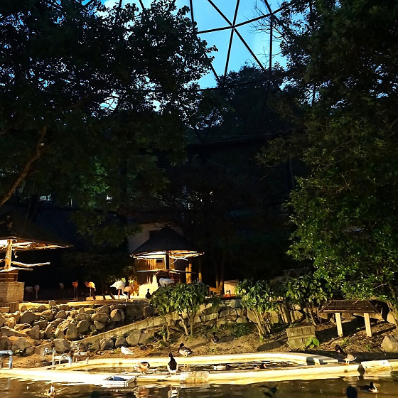 夜の動物園で、ライティングされている中で羽を休める鳥たちの様子。