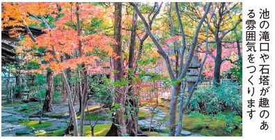 楽水園の写真(池の滝口や石塔が趣のある雰囲気をつくります)