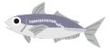 魚のイラスト