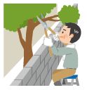 剪定イラスト