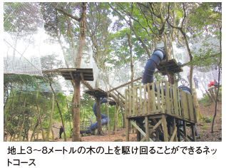 地上3～8メートルの木の上を駆け回ることができるネットコース