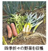 四季折々の野菜を収穫