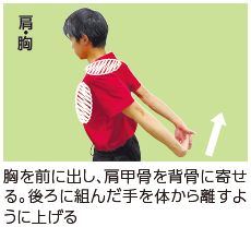 胸を前に出し、肩甲骨を背骨に寄せる。後ろに組んだ手を体から離すように上げる