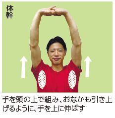 手を頭の上で組み、おなかも引き上げるように、手を上に伸ばす