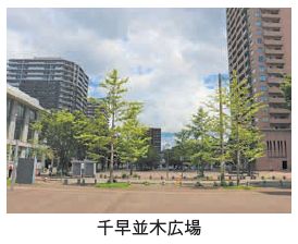 千早並木広場写真