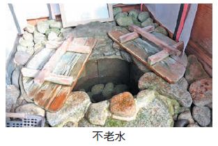 不老水(ふろうすい)写真