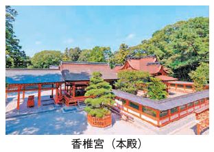香椎宮(本殿)写真