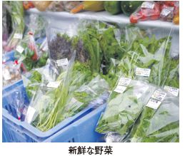 新鮮な野菜の写真